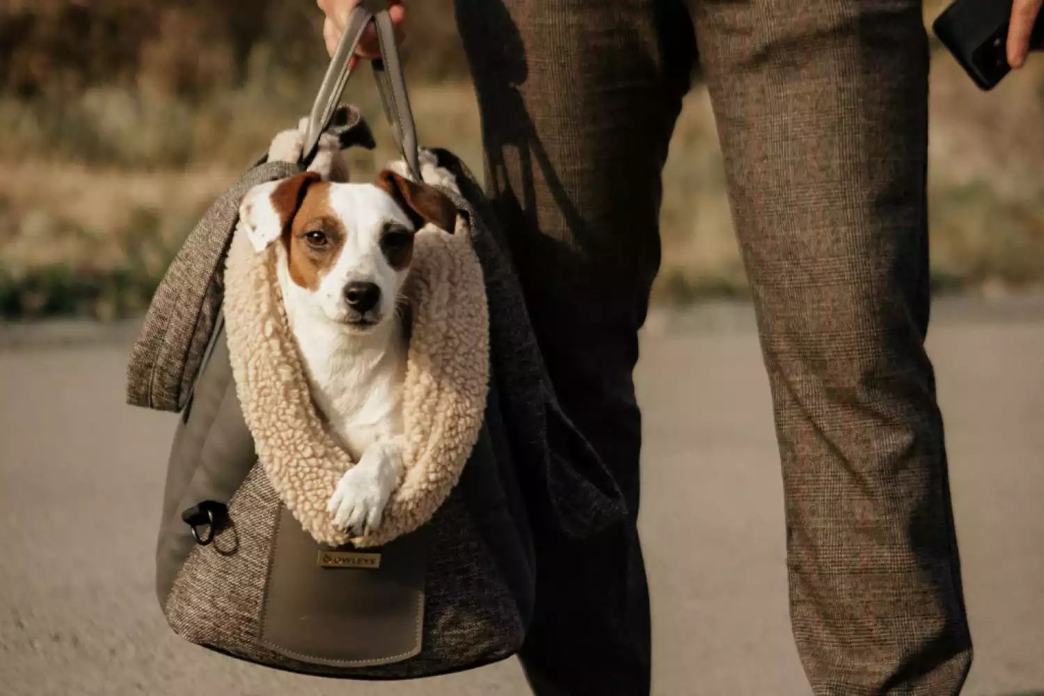 Russell Terrier Dog Carrier Car Seat for Subaru Crosstrek