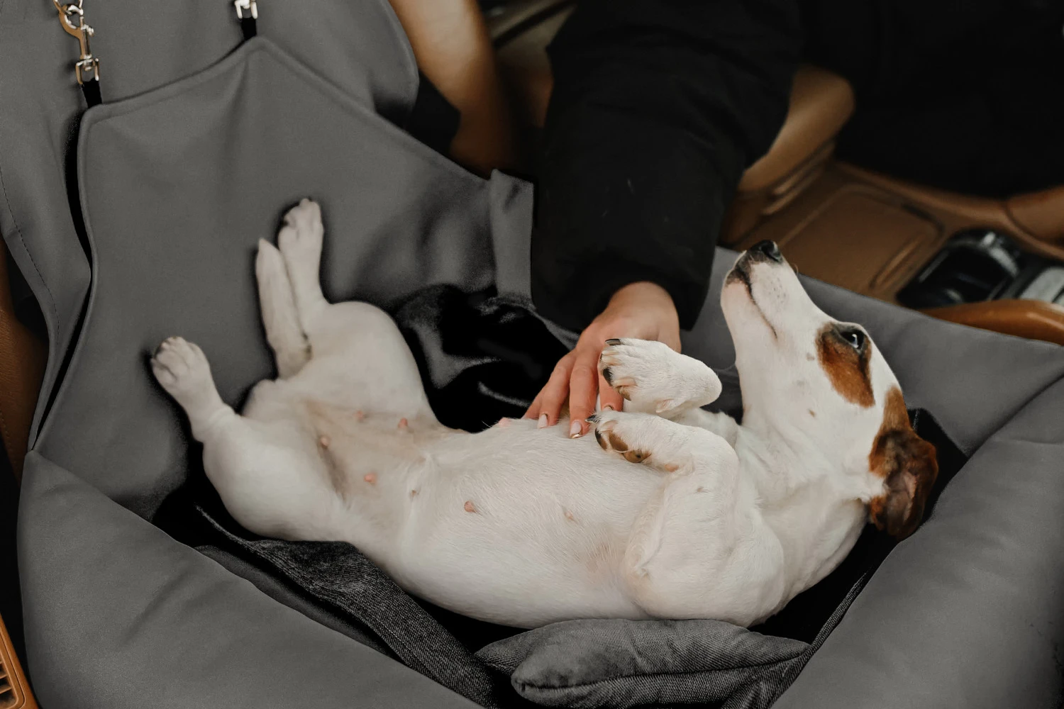 Subaru Crosstrek Dog Car Seat for Shiba Inu