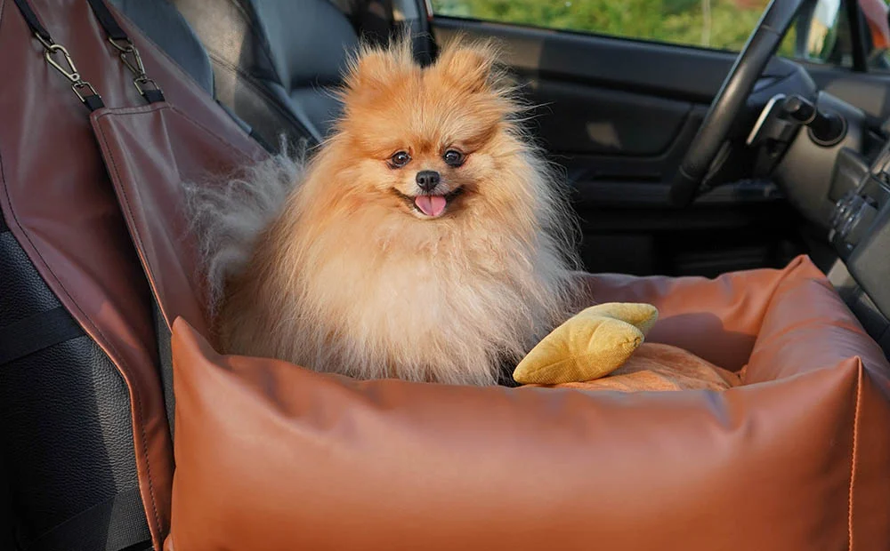 Subaru Crosstrek Dog Car Seat for Shiba Inu
