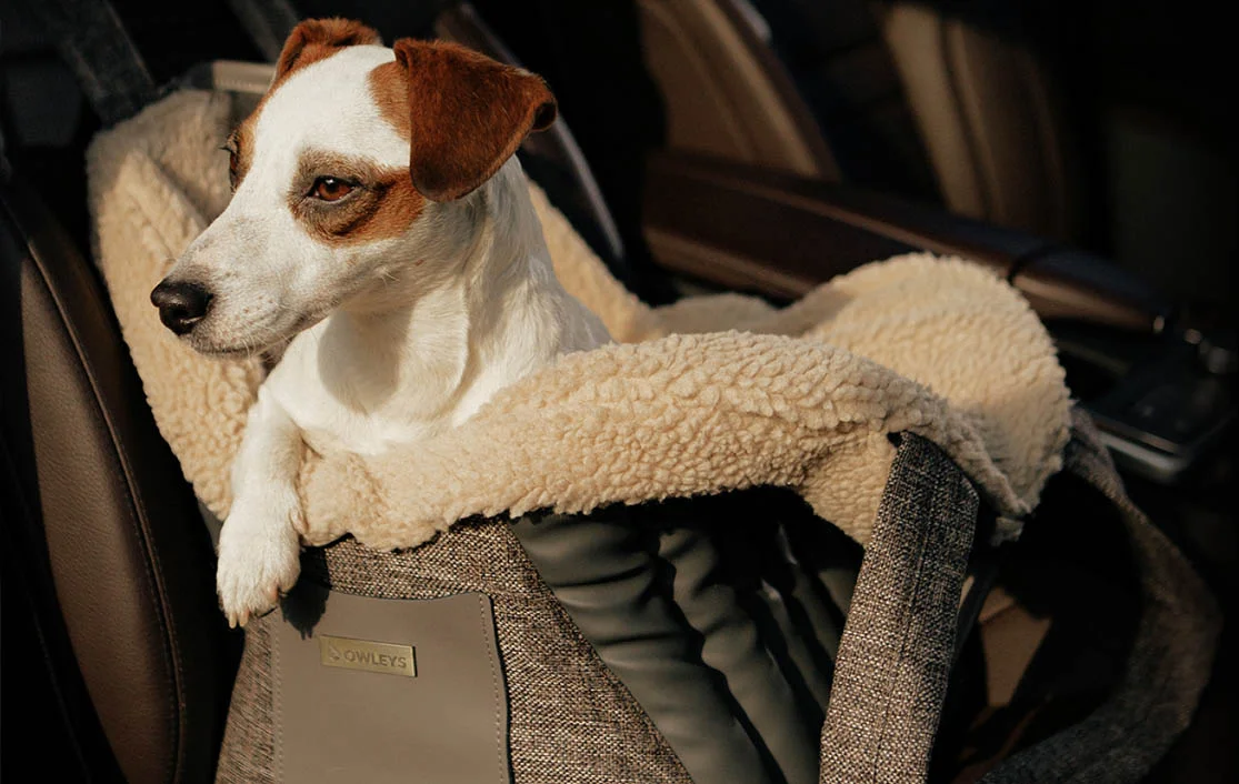 Toy Australian Shepherd Dog Carrier Car Seat for Toyota Camry