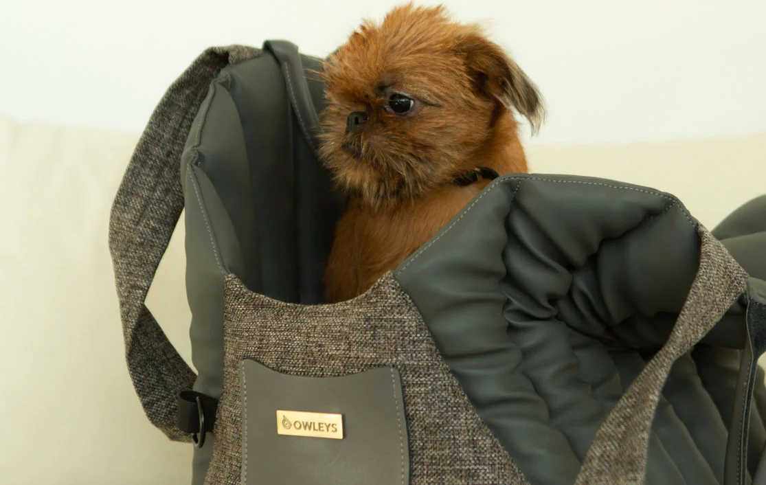 Jeep Compass Dog Carrier Car Seat for Alaskan Klee Kai