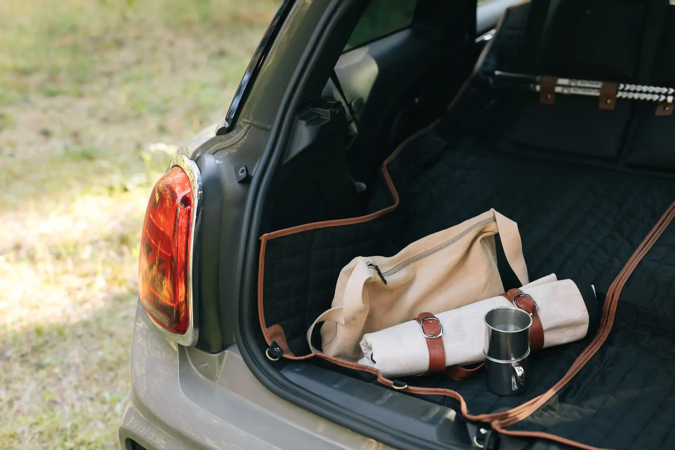 best blanket for picnic
