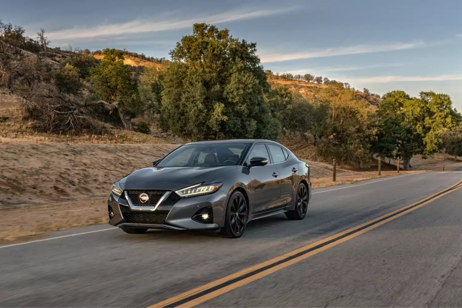 trash containers for Nissan Maxima