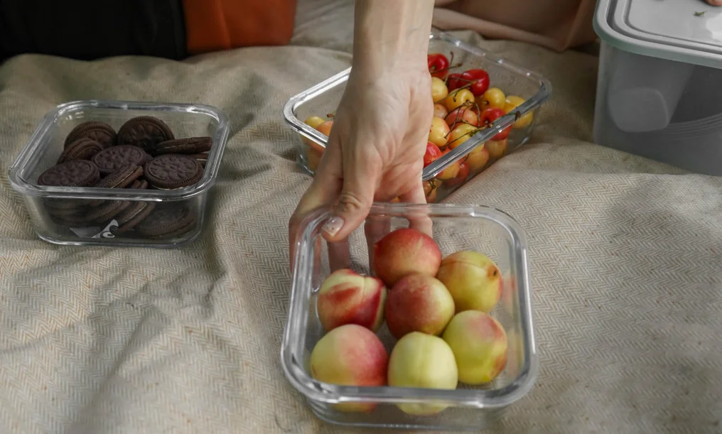best camping picnic blanket