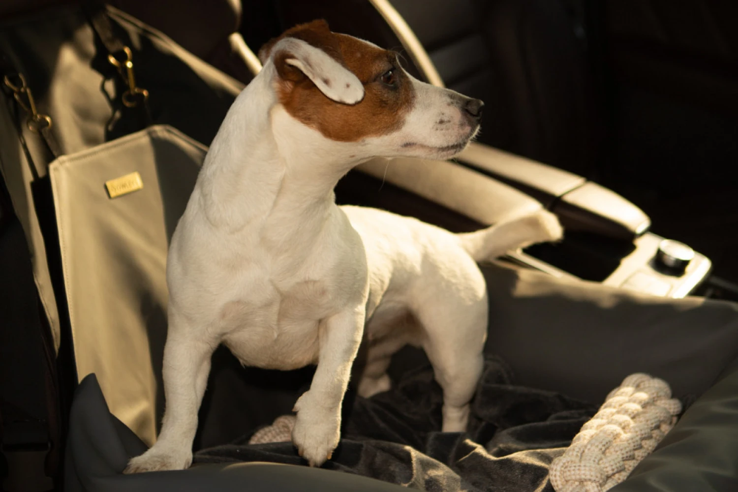 Volkswagen Golf Dog Car Seat for Pomeranians