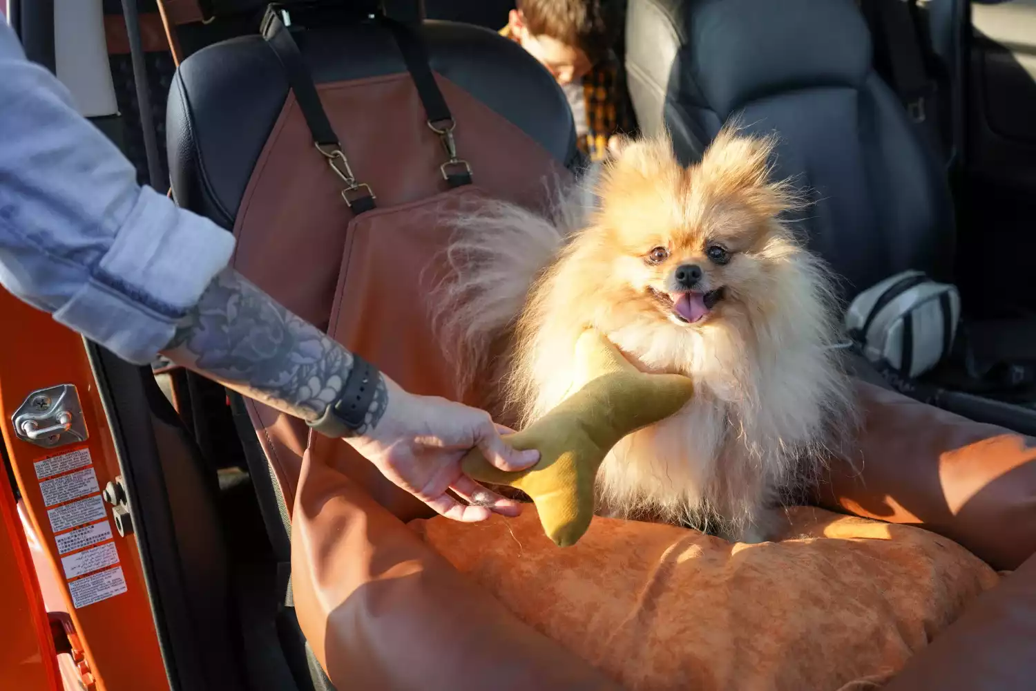 Honda Fit Dog Car Seat for Beagles